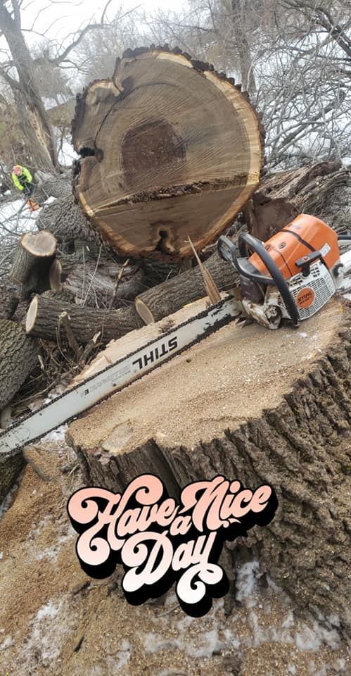 A chainsaw is sitting on top of a tree stump.