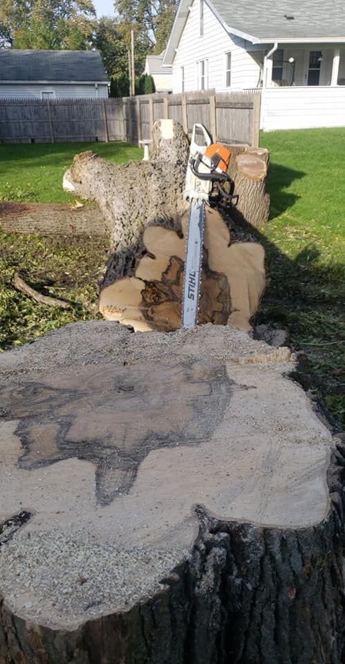 A chainsaw is sitting on top of a tree stump.