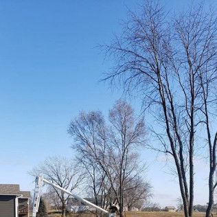 A man is cutting a tree with a crane in front of a house.