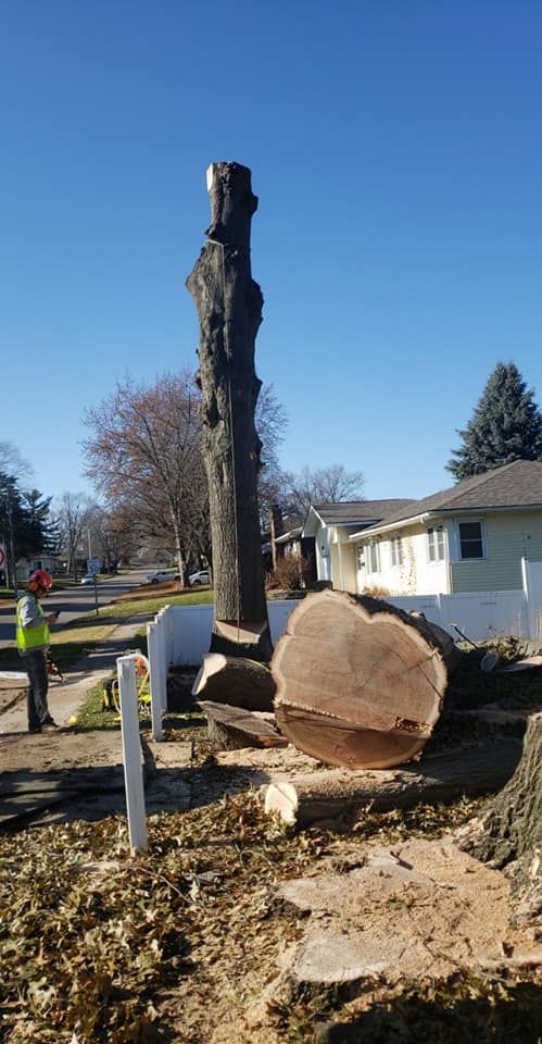 A large tree stump is sitting in front of a house.