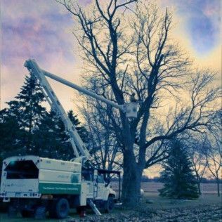 A truck with a crane attached to it is cutting a tree