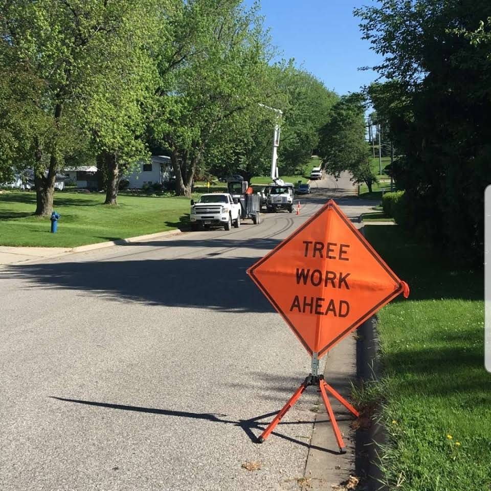 An orange sign on the side of a road says tree work ahead