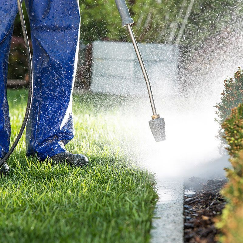 Person in blue overalls pressure washing a concrete edge between green grass and plants.