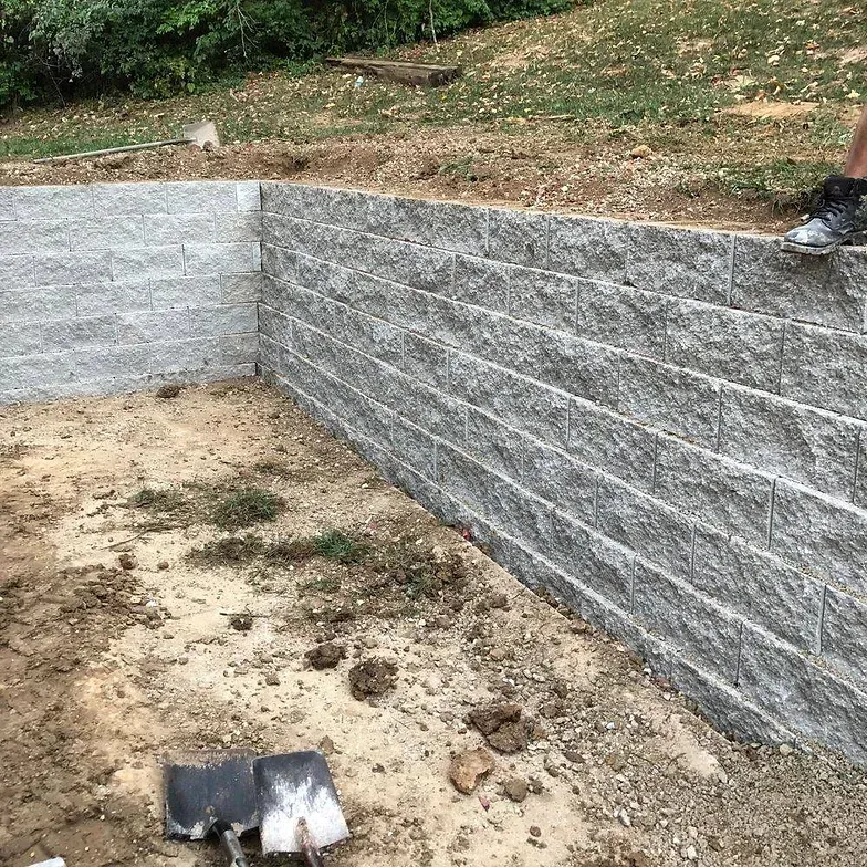 A dog is standing next to a brick wall in a dirt field.