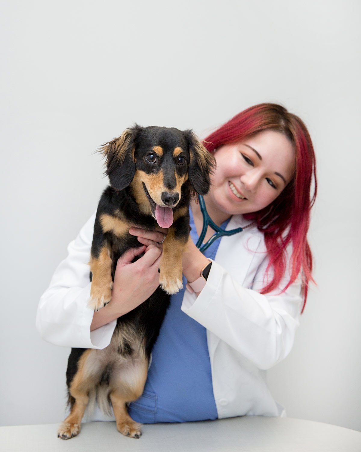 Vet technician holding a small black dog - A Couple of Vets