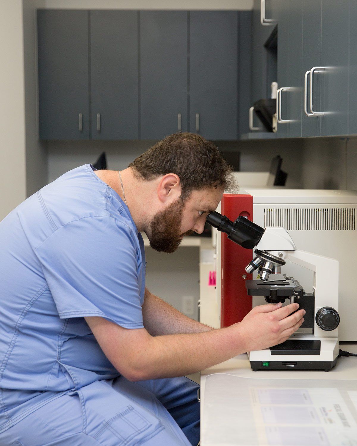A veterinarian looking at a lab sample under a microscope at A Couple of Vets