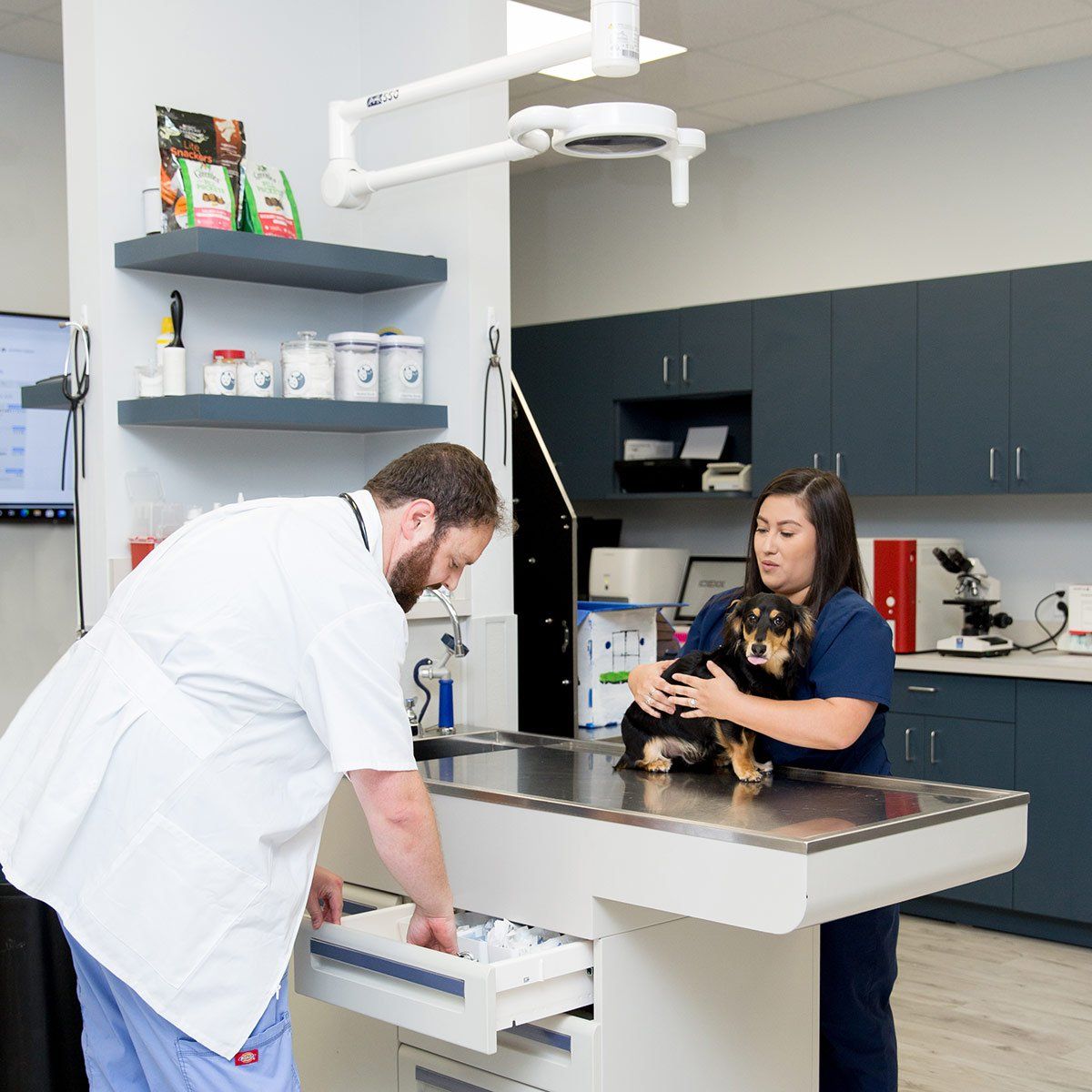 A Couple of Vets wellness exam on a dog