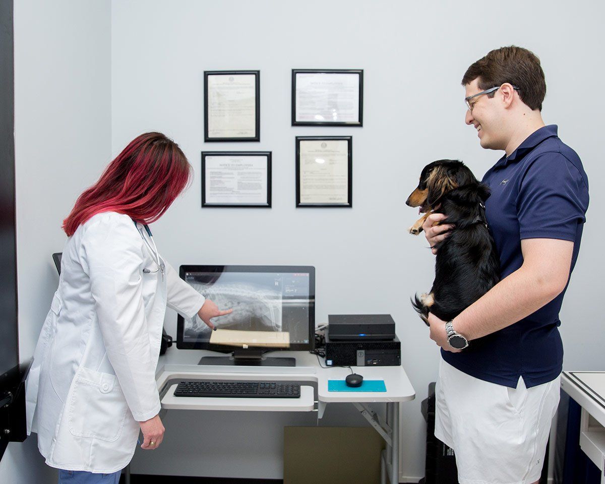 Wellness exam with small dog and its owner at A Couple of Vets