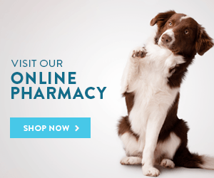 visit our online pharmacy button