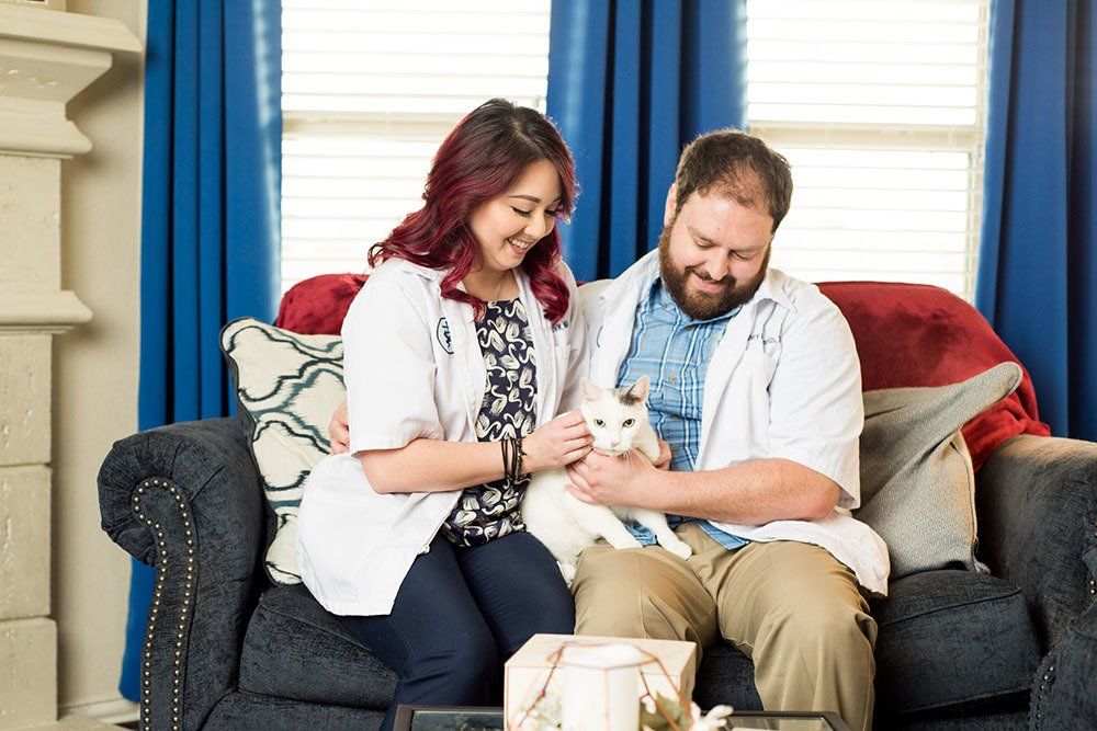 A Couple of Vets owner holding a cat