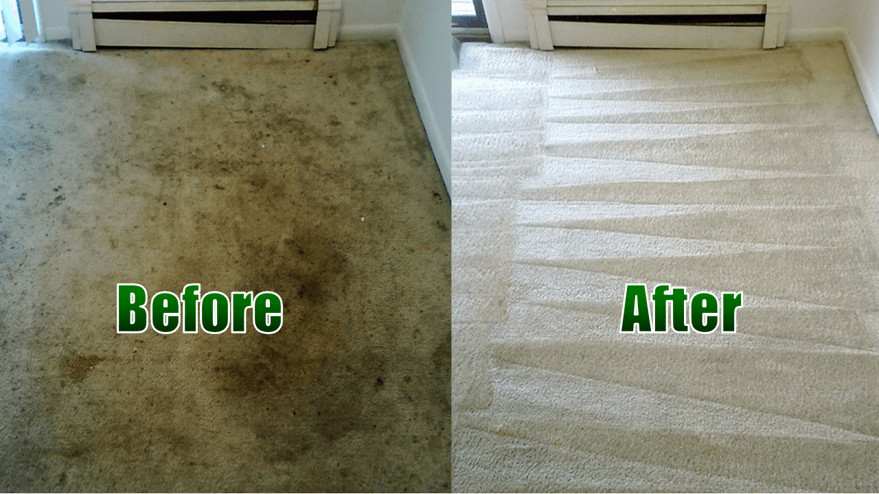 Carpet Cleaning - Flood Cleanup - The Dry Guys - Kenosha, WI