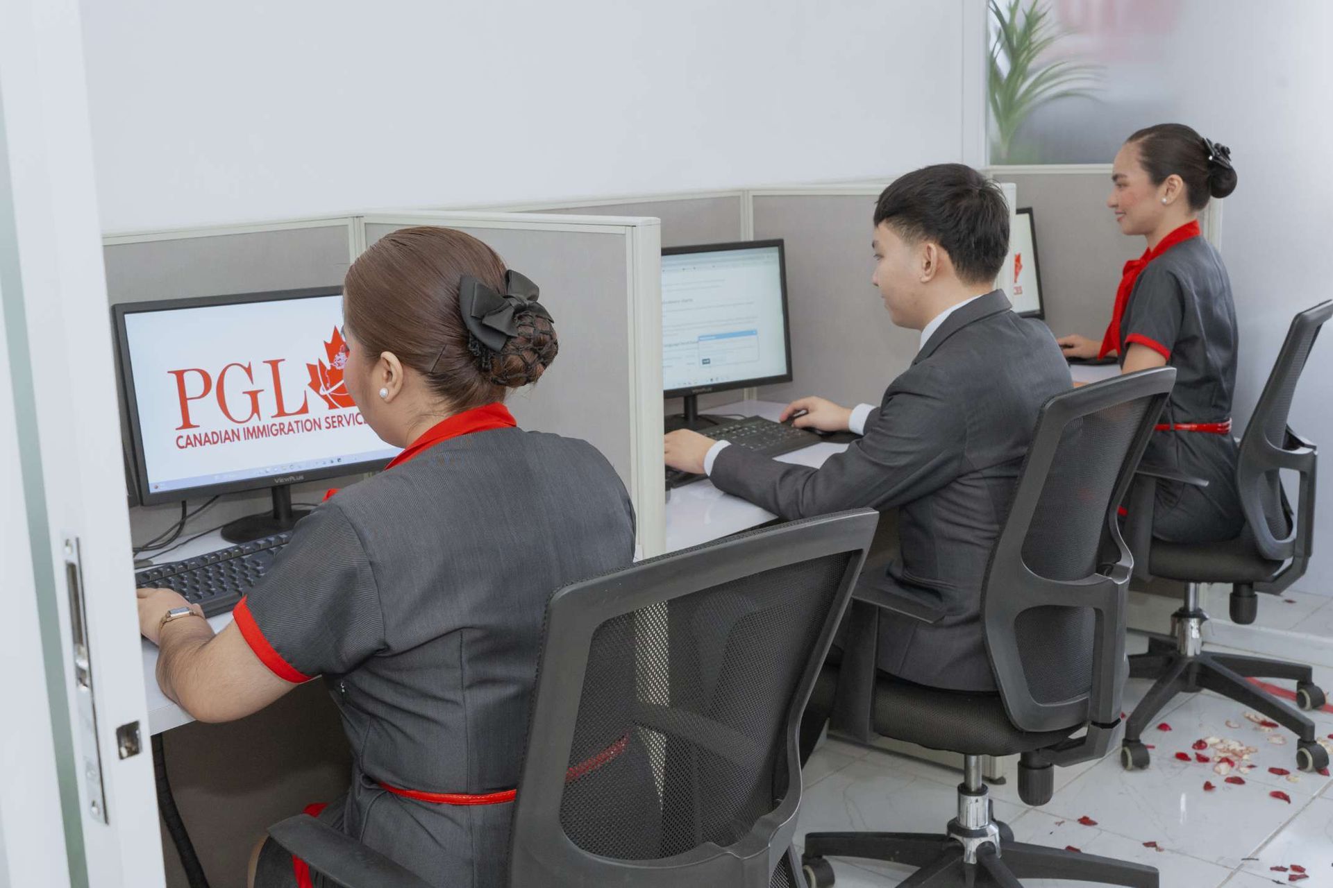 A group of people are sitting in cubicles in front of computers.