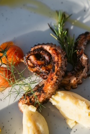 Tentacolo di polpo grigliato su un piatto bianco con purè di patate, pomodorini e un rametto di rosmarino fresco.