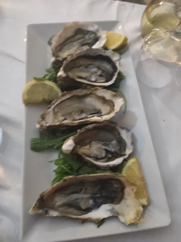 Su un piatto rettangolare bianco sono disposte cinque ostriche crude su un letto di verdure, guarnite con spicchi di limone.