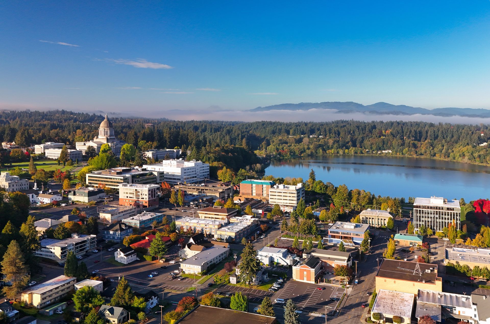 Aerial view of Olympia, WA: State Capitol dome, buildings, lake, trees, and clear blue sky.