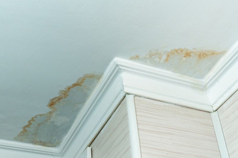 Water stain on white ceiling and crown molding, above light tan wall.