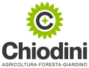 Logo dell'azienda Chiodini 