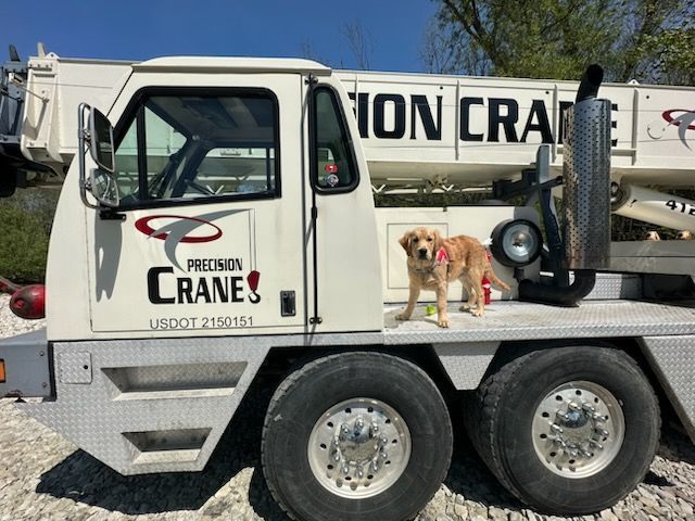 A dog standing on the side of a precision cranes truck