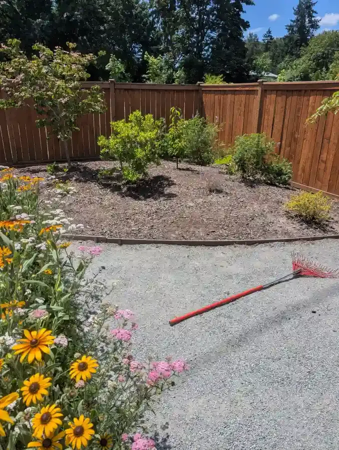 Garden bed with flowers, gravel path, wooden fence, and red rake.