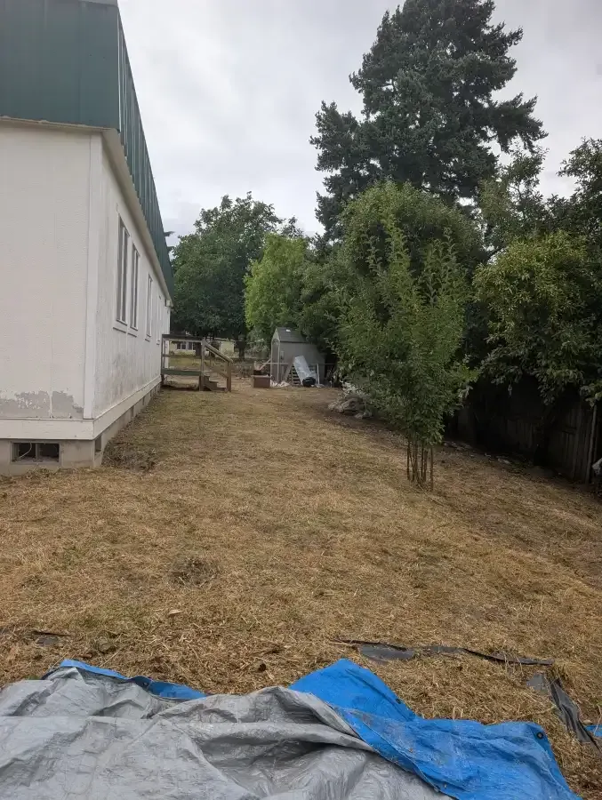 Side of a white building and dry grassy area. Trees in the background, blue tarp in the foreground.