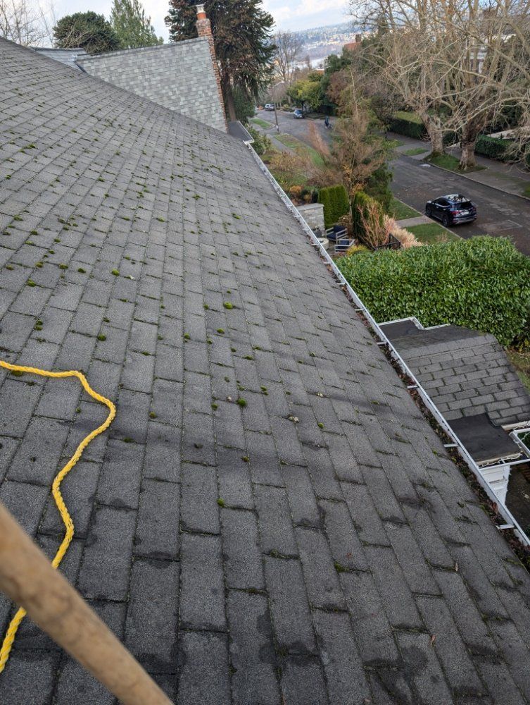 Gray shingle roof with moss, yellow hose, and a street visible in the background.