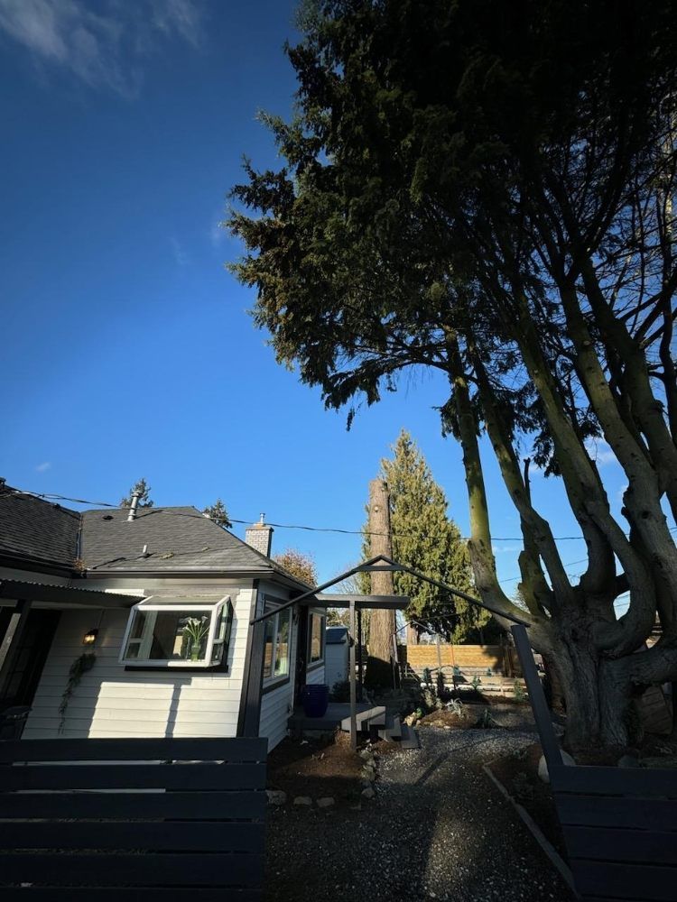 A house with a dark deck, a large tree, and a blue sky.