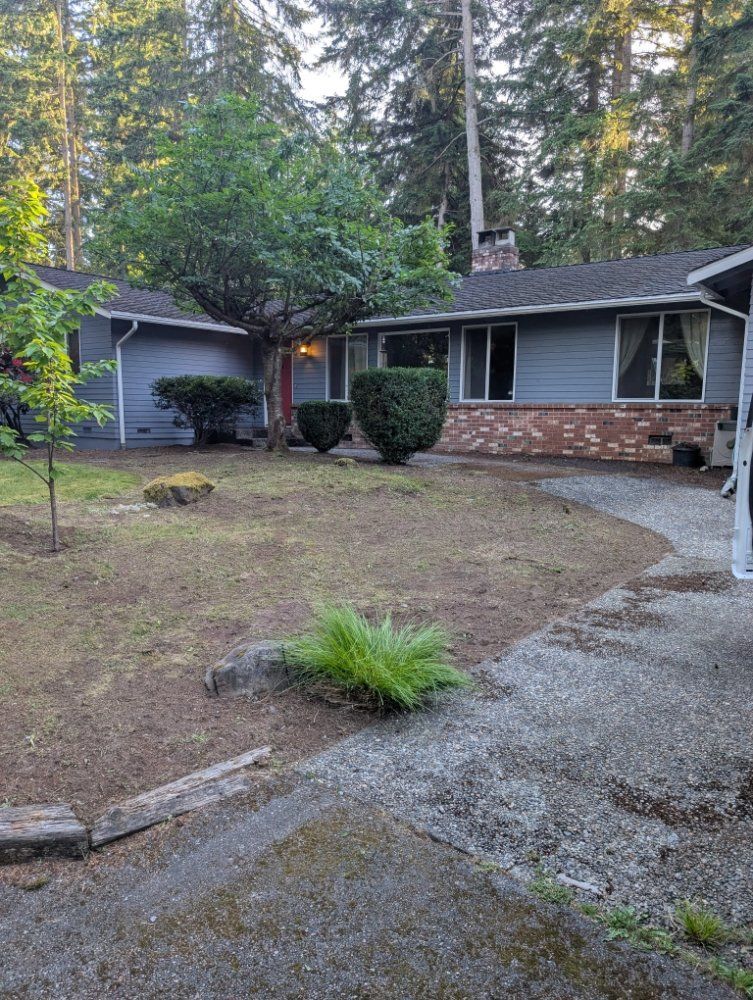 Blue house with gravel path and patchy grass, set in a forest.