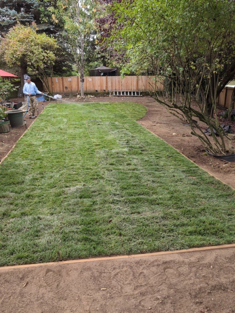 A person waters freshly laid sod in a backyard with a wooden border.
