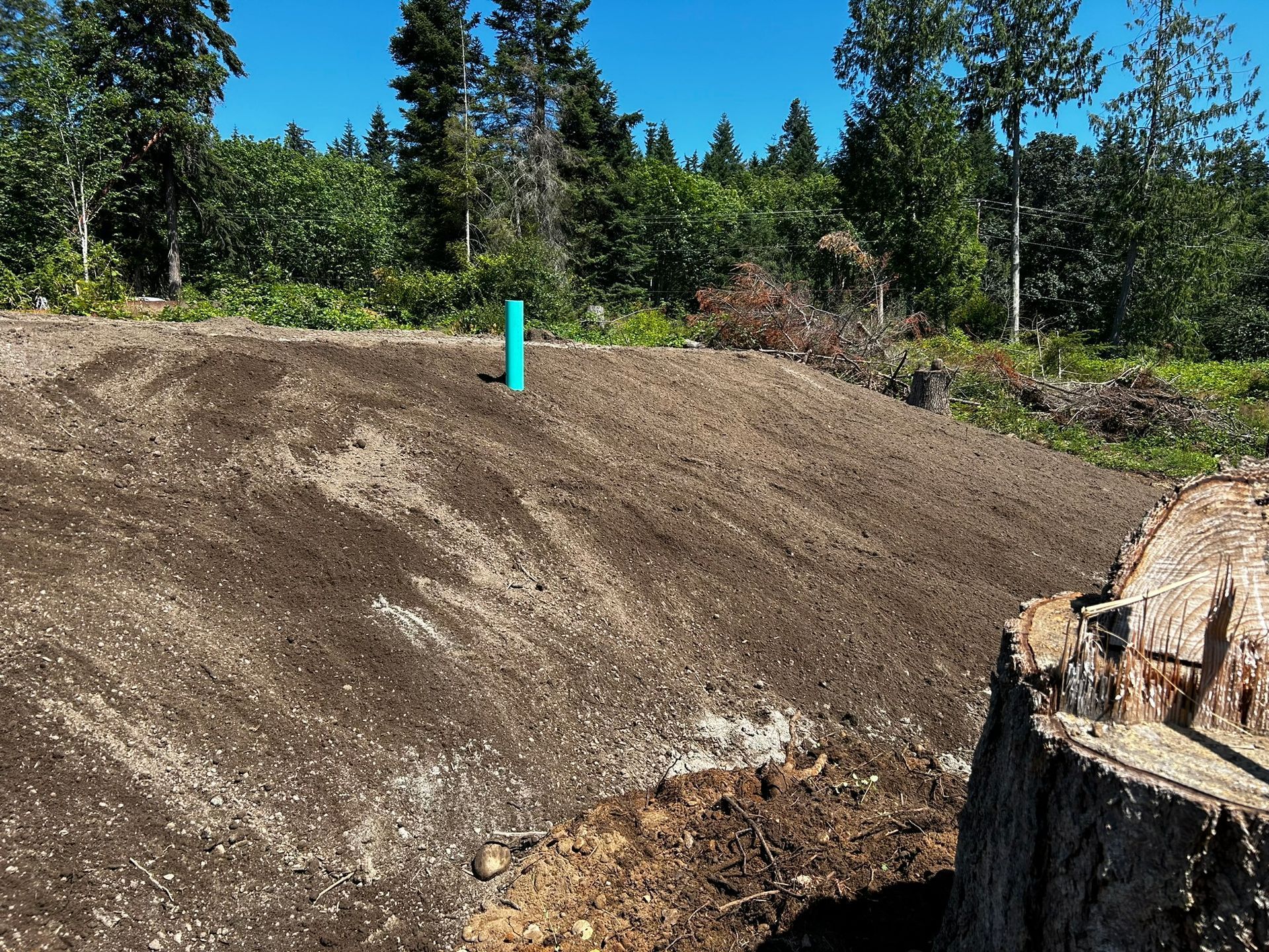 Dirt mound with a green pipe, a tree stump in the foreground, and trees in the background under a bright sky.