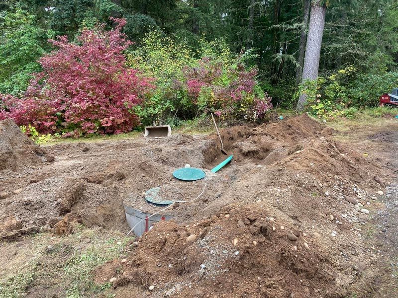 Septic system excavation in a grassy area, with exposed tank and piles of dirt. Red and green foliage in background.