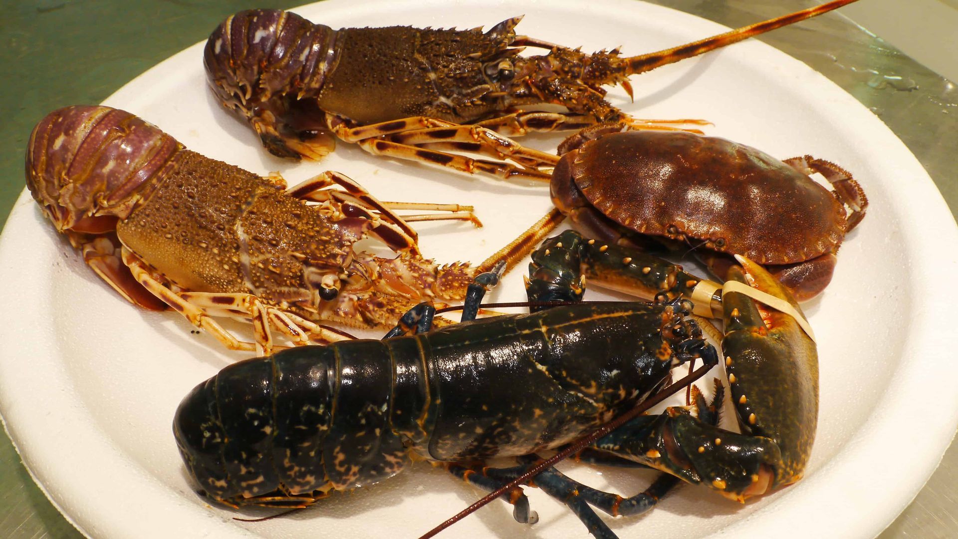 plateau avec crabe et langouste