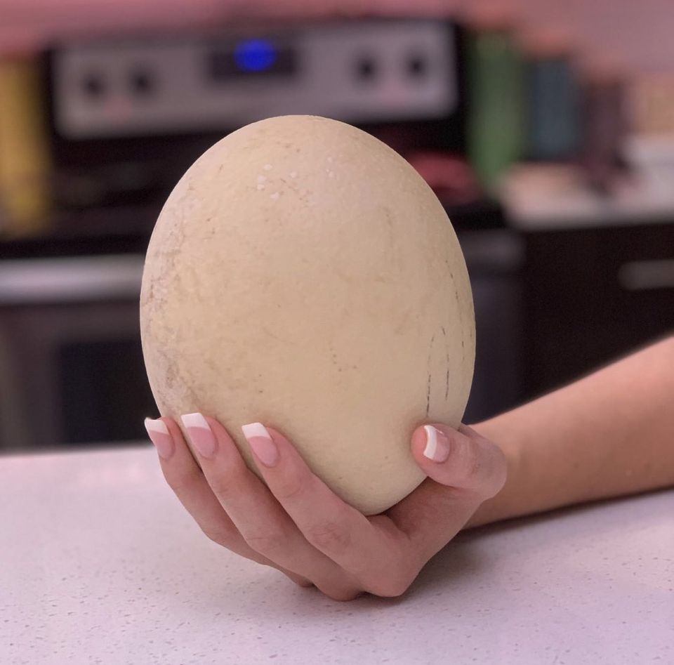 MASSIVE EGG!!! 🍳 GIANT Egg-in-a-hole RECIPE