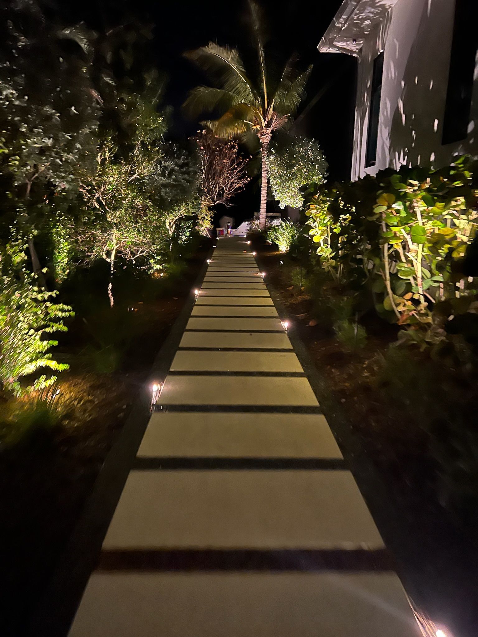 Stone walkway illuminated by lights, flanked by bushes and trees at night.