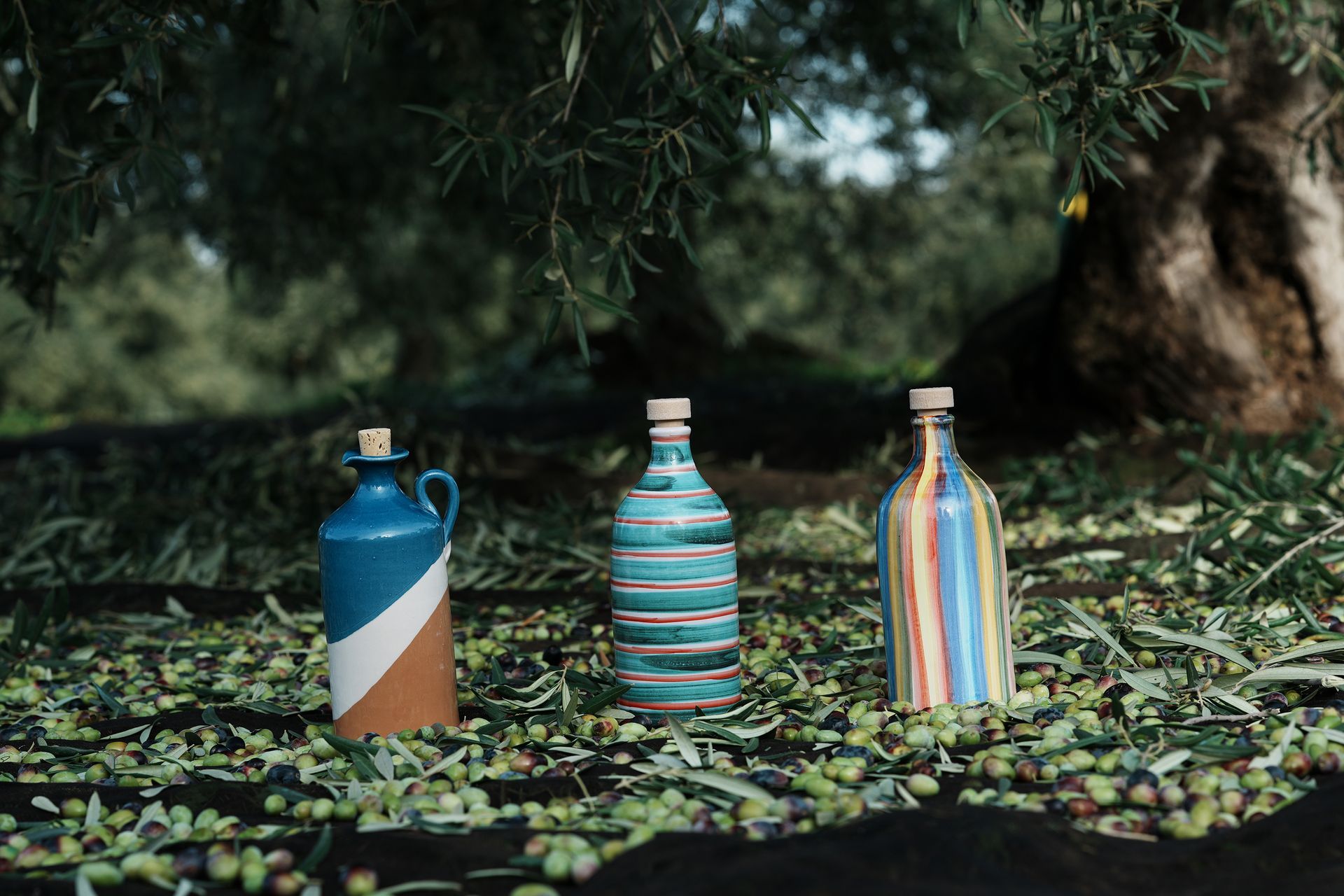 le bottiglie di olio in vendita