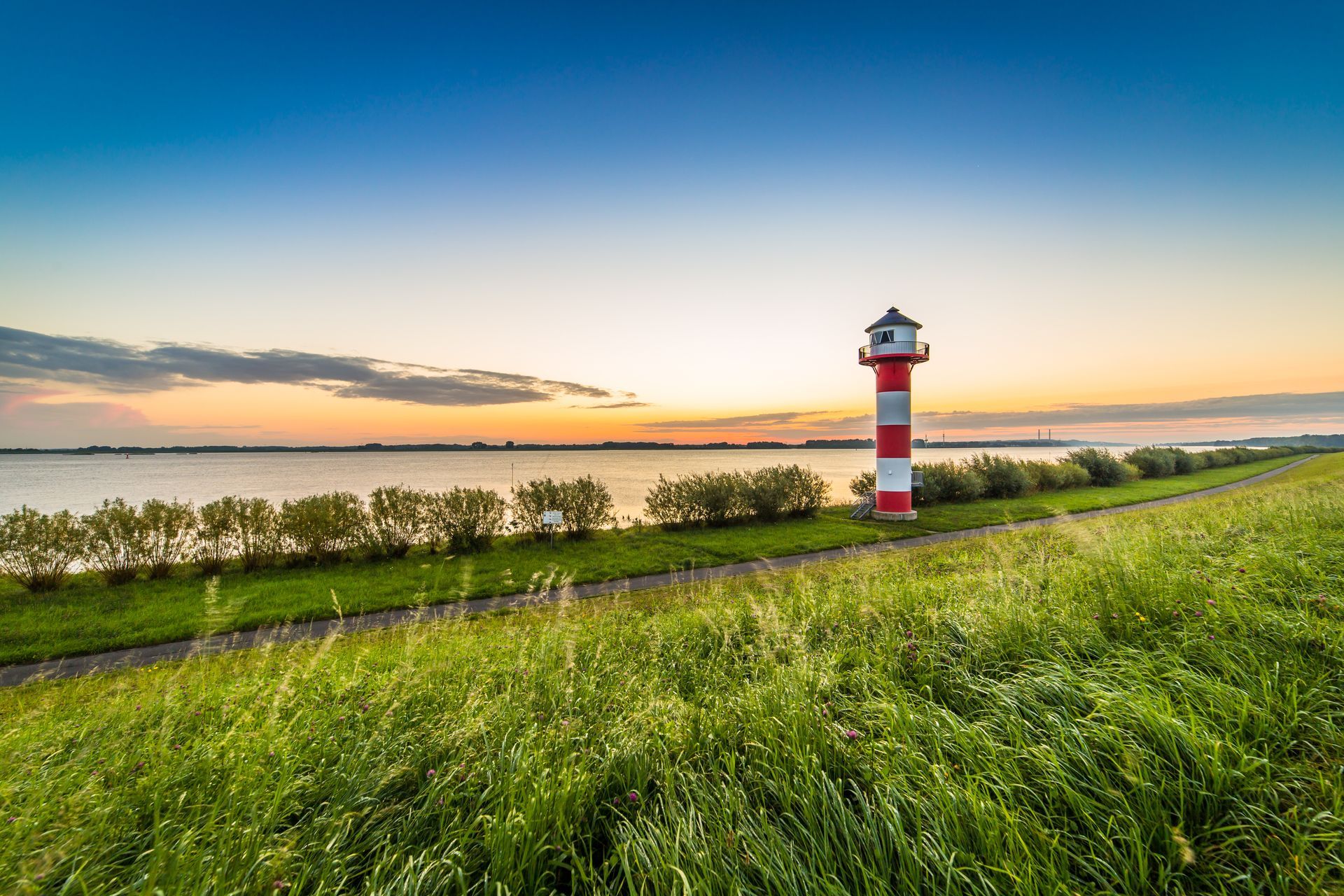 Sandy beach with dunes and grass under a blue sky with fluffy clouds.