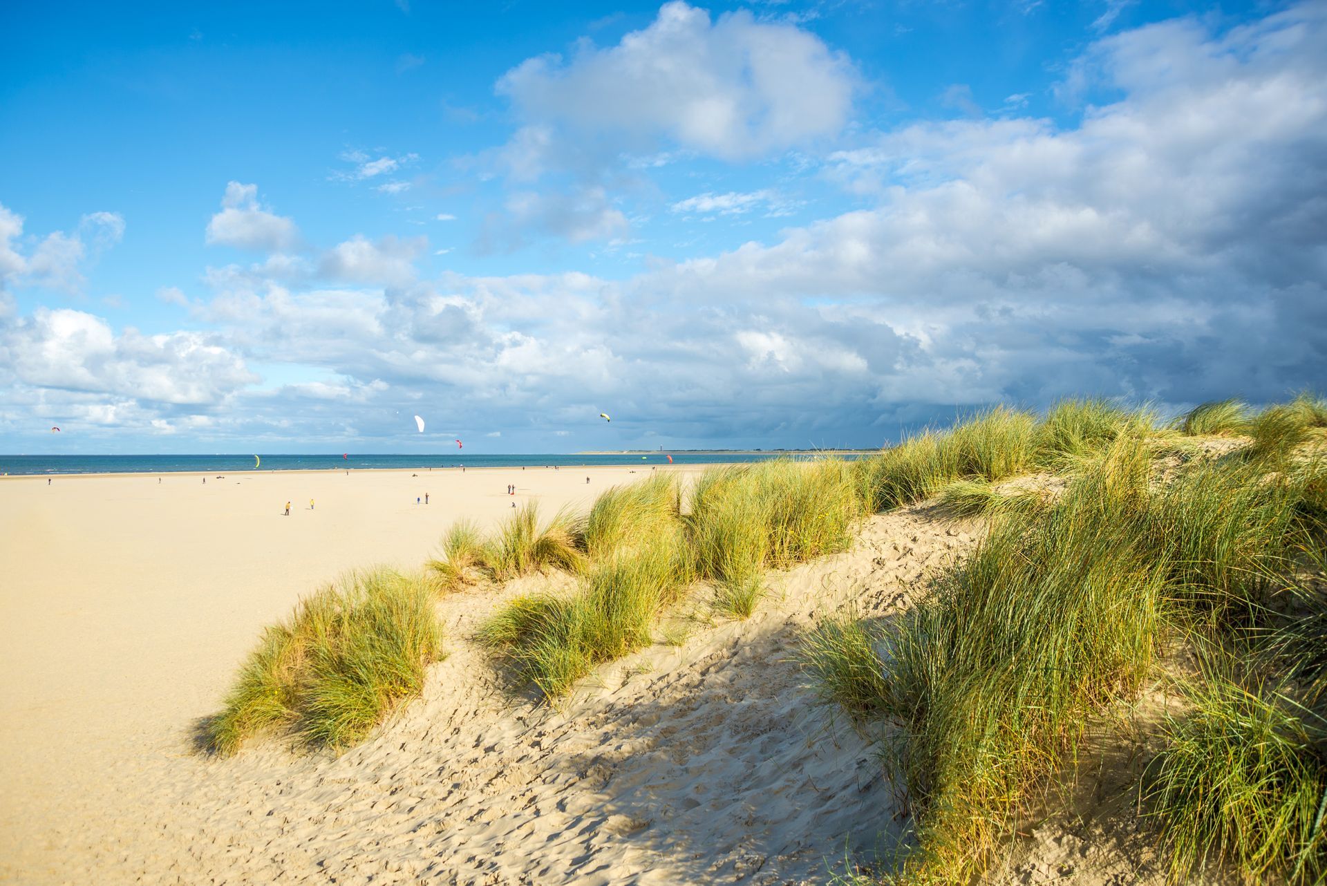 Sandy beach with dune grass under a partly cloudy blue sky.