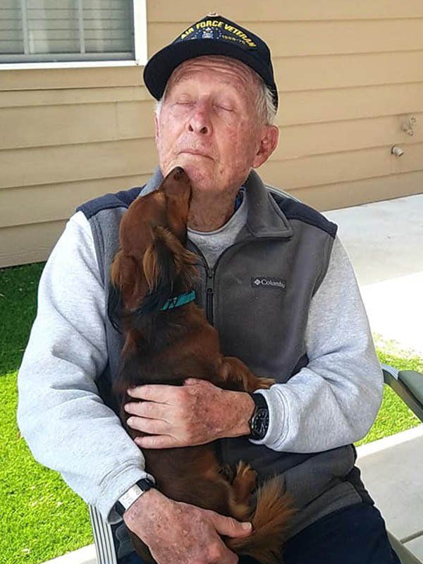 An elderly man is holding a brown dog in his arms.