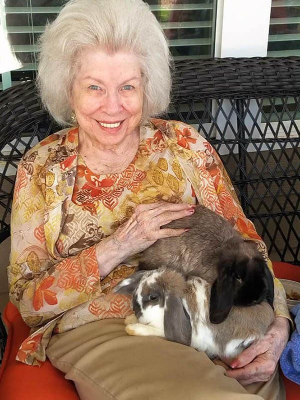 An elderly woman is sitting in a chair holding two rabbits.