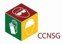 CCNSG logo