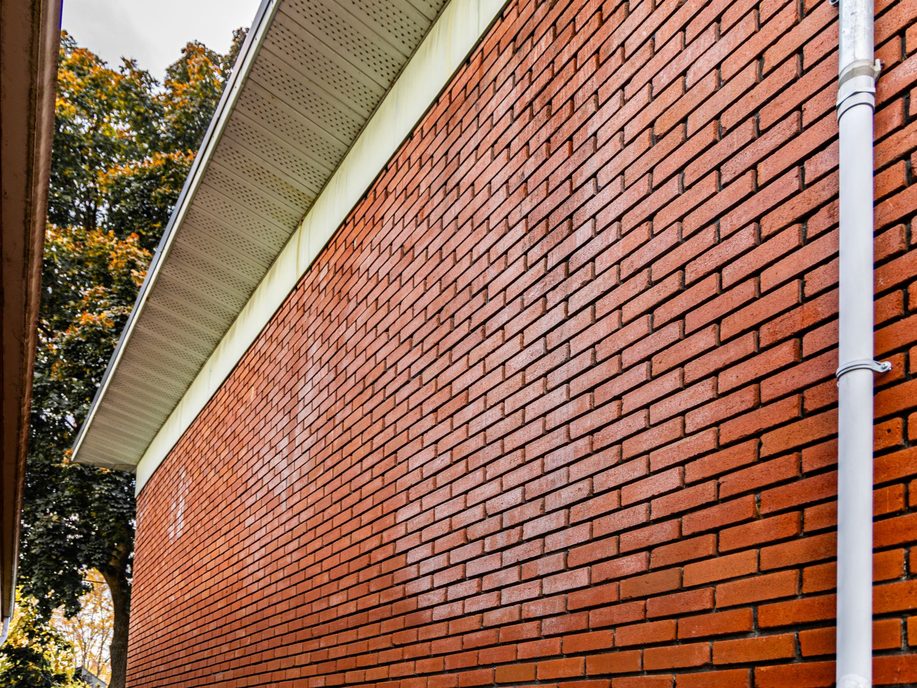 Brick wall of a building with white trim and a downspout, viewed from below near trees.