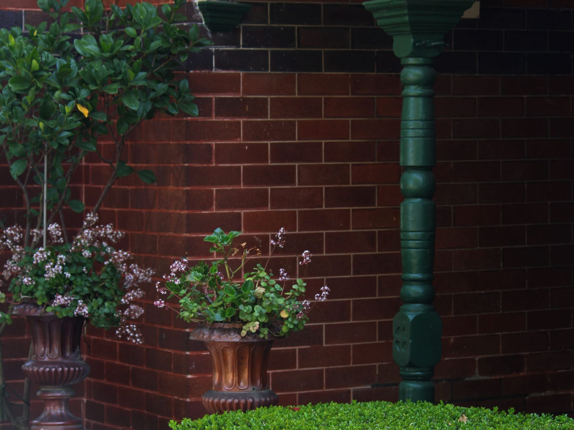 Potted flowering plants beside a brick wall and green column on a porch
