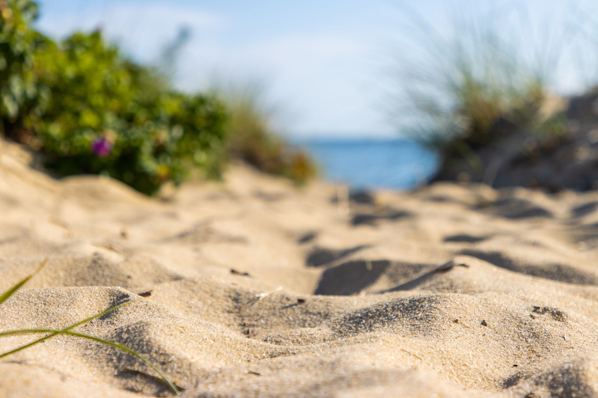 A close up of a sandy beach with the ocean in the background.