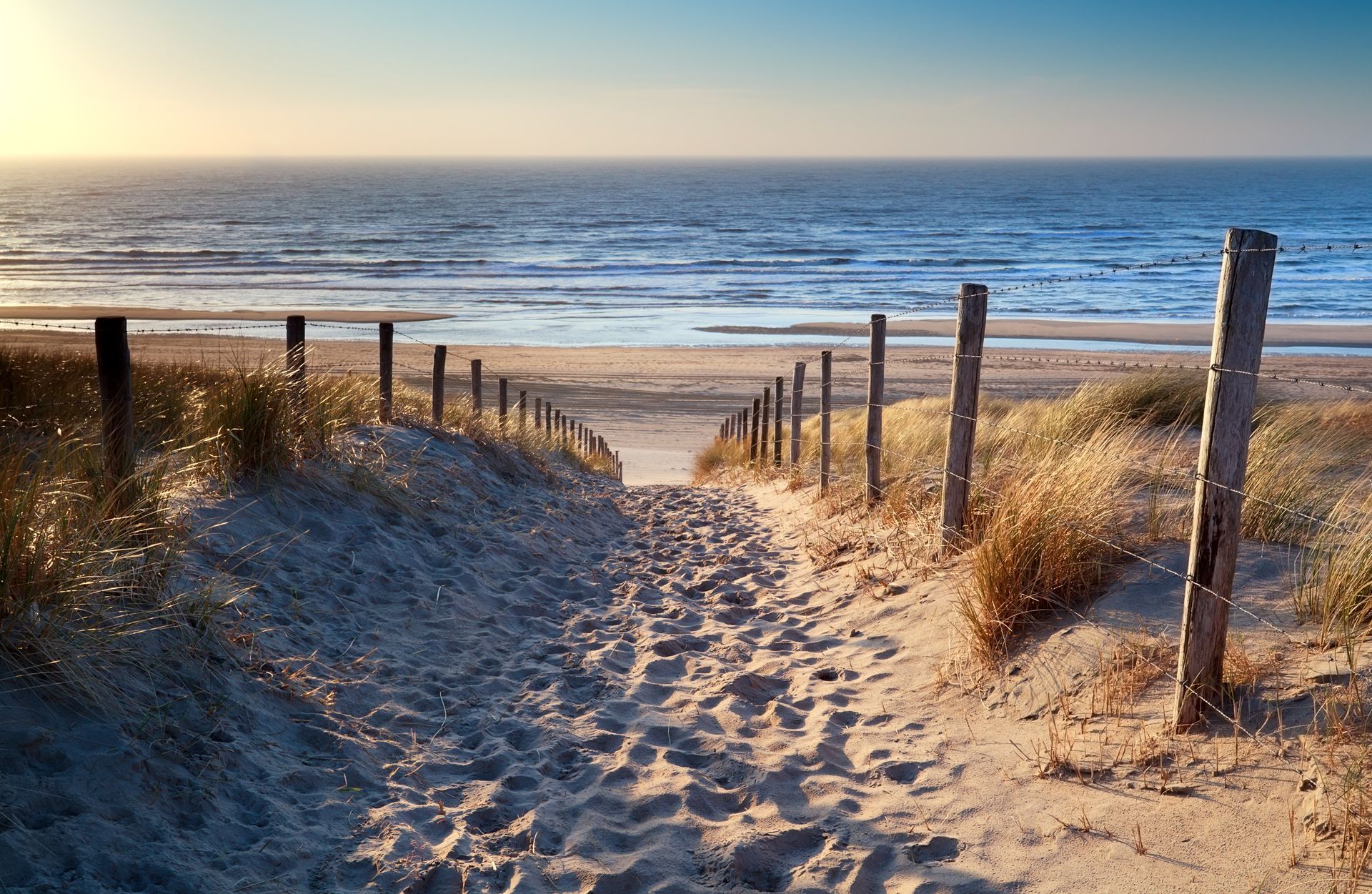 A sandy path leading to the ocean at sunset.