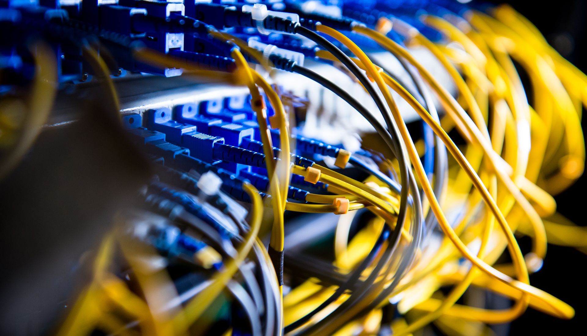 Close-up of yellow and blue network cables connected to a server.
