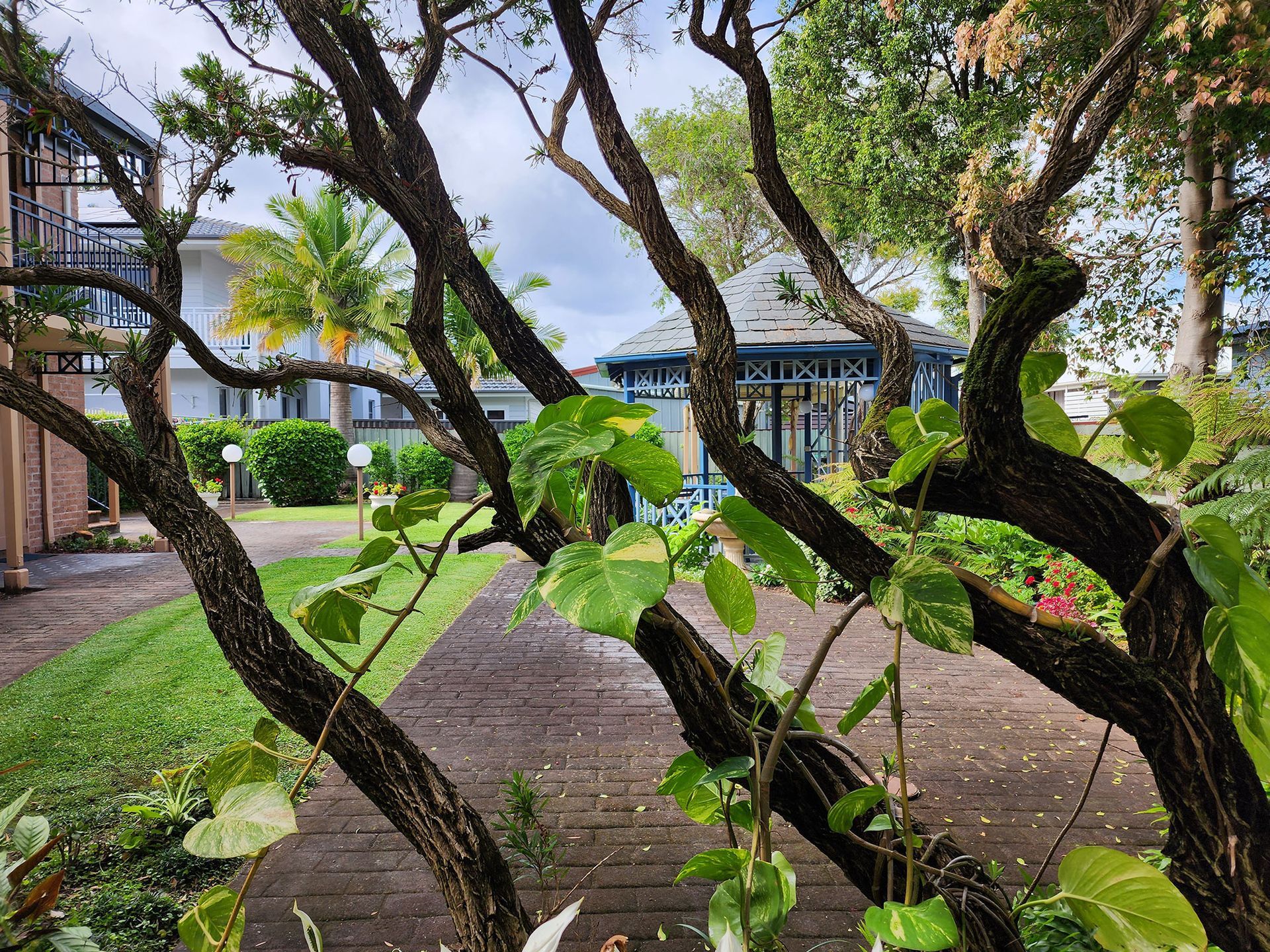beautiful and peaceful gardens at Town Beach Motor Inn.
