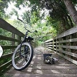 A bicycle on a wooden bridge in a green, wooded area.