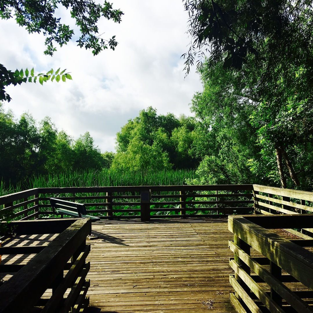 Wooden boardwalk overlooking lush green marsh. Cloudy sky above.