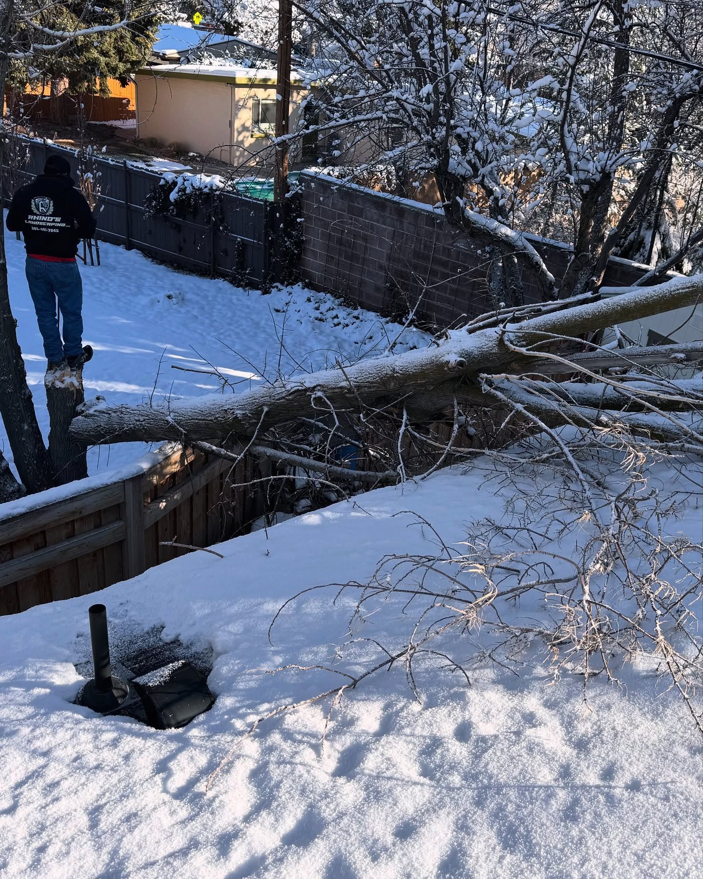 A snow-covered backyard with a fallen tree branch on a roof. A person in a dark jacket stands near the fence.