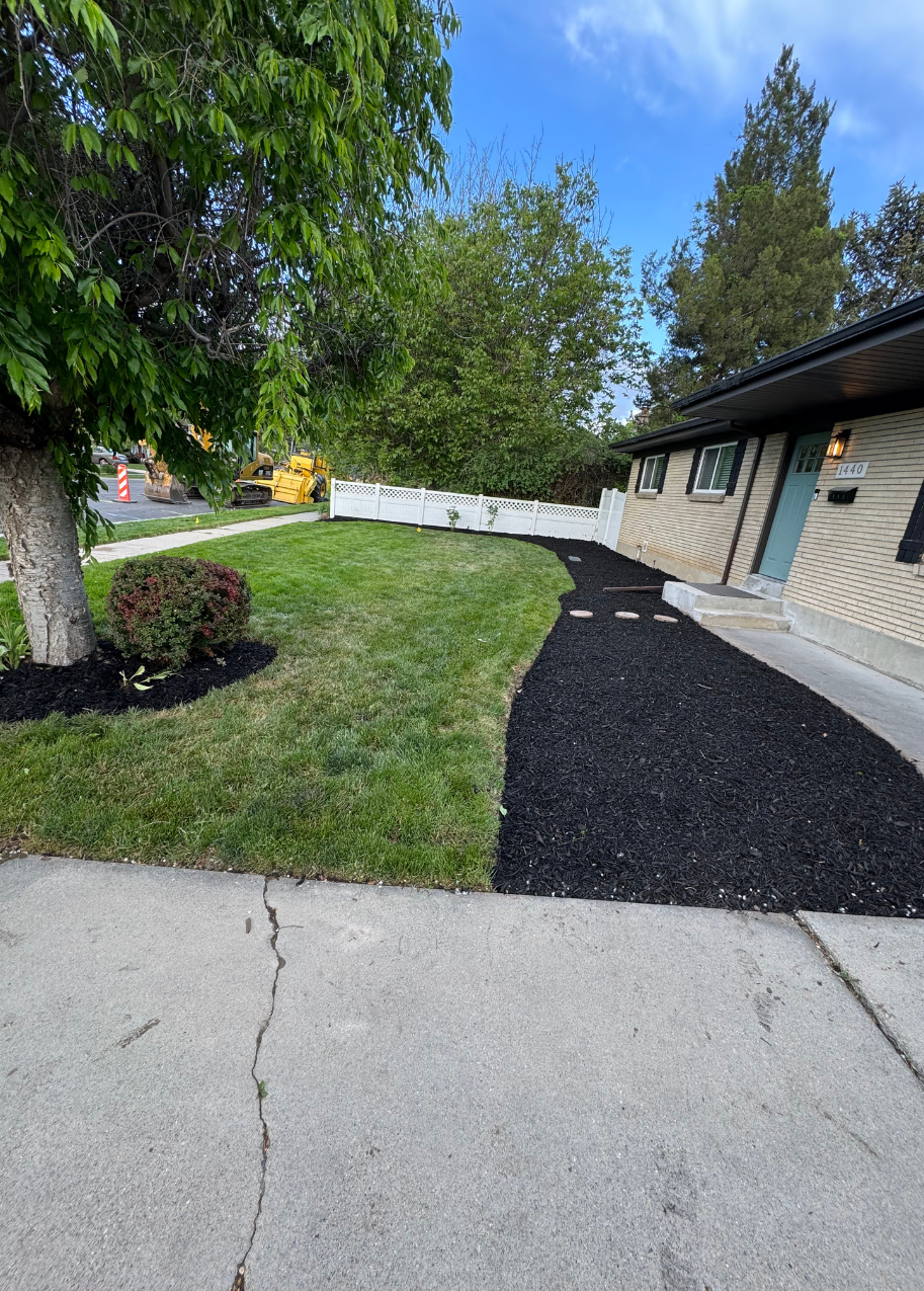 Lawn path leading to a brick house with a green lawn, and a tree, sidewalk in front.
