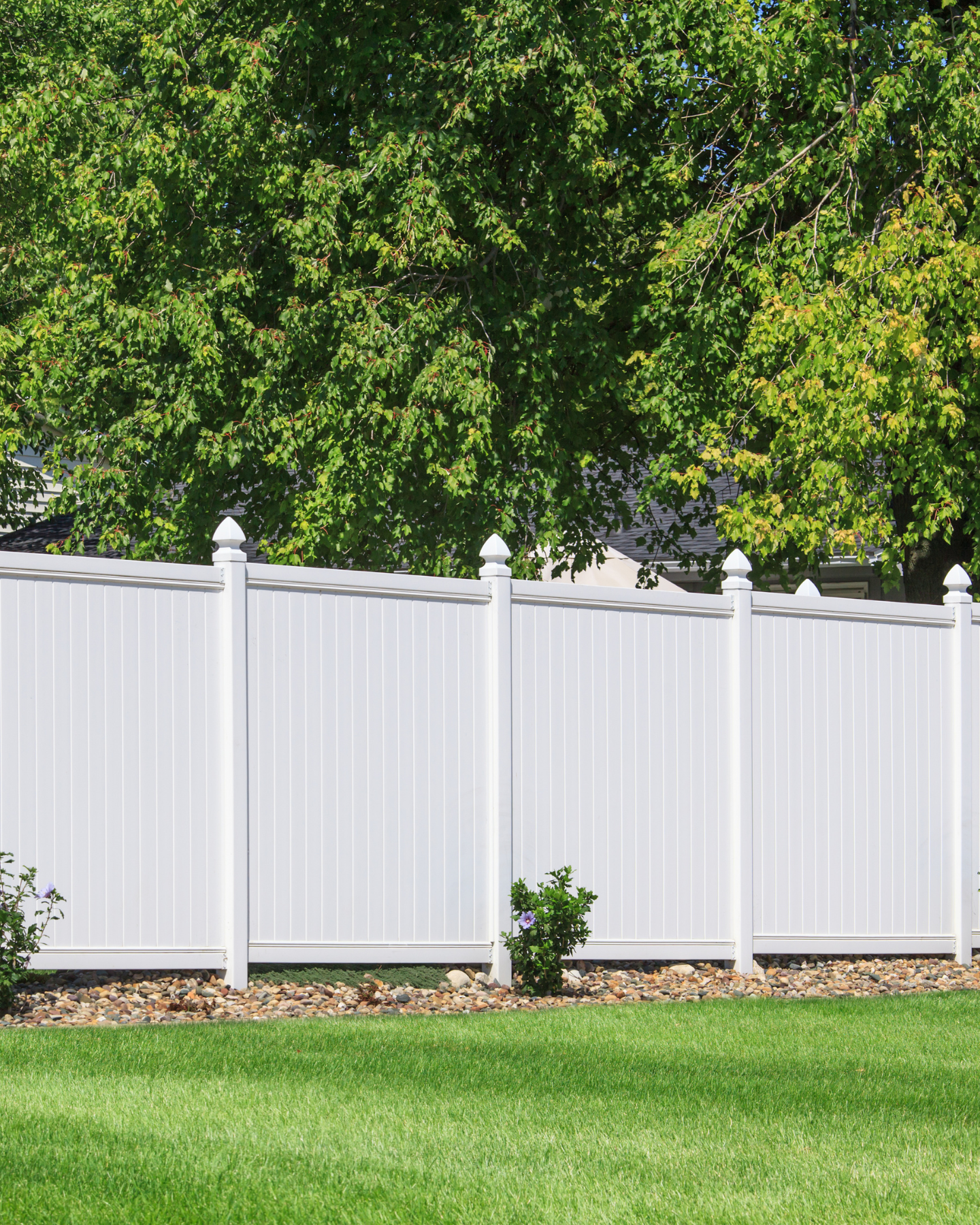 White vinyl fence in a grassy yard, with green trees in the background under a blue sky.